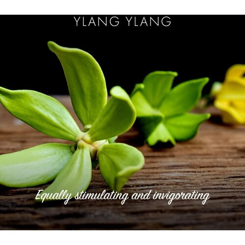 Friendly Soap Natural Soap Ylang Ylang prirodni sapun 7x95 g Slike