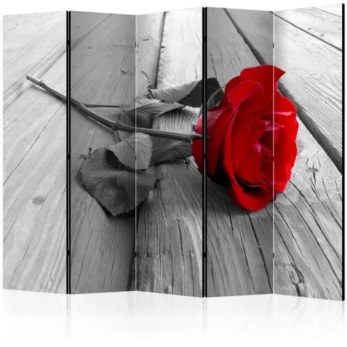  Paravan u 5 dijelova - Abandoned Rose II [Room Dividers] 225x172