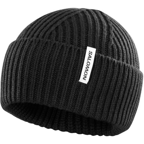Salomon Snowbird U Beanie LC2303100 Cijene