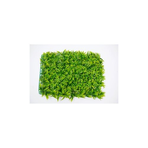 BOLZZ zeleni zid 3D flora 40X60 cm bolzzidflora Cene