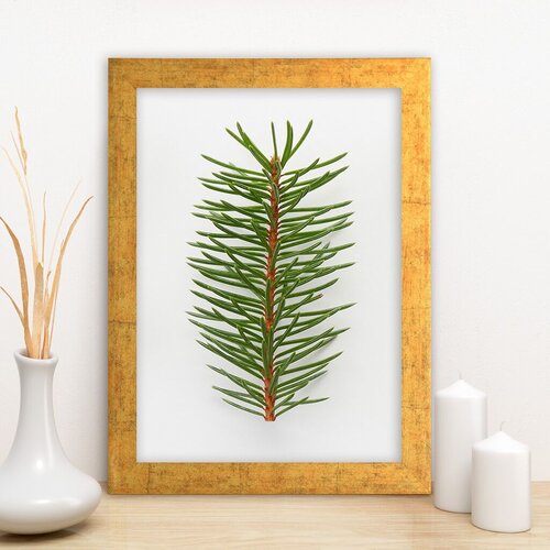 Wallity Zidna dekoracija AC7406288862, 24 x 29 cm, Šarena Cene