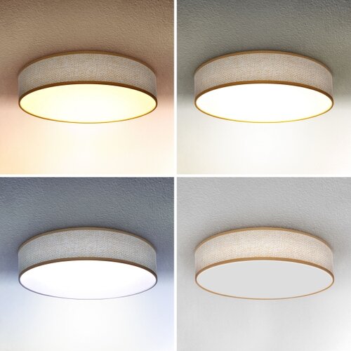  Brilagi - LED prigu&amp;scaron;iva plafonska svetiljka CARMEN LED/48W/230V 3000-6500K + daljinski upravljač Slike