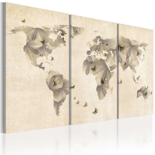  Slika - Atlas of butterflies - triptych 60x40 Slike
