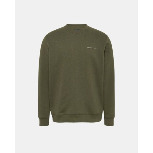 Tommy Hilfiger Puloverji DM0DM20249 Zelena Slike