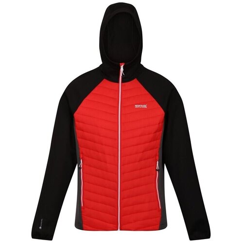 Regatta Jakne Hybridjacke Andreson Vii pisana Cene