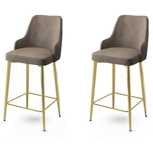 Hanah home Enox - Cappuccino, Gold CappuccinoGold Bar Stool Set (2 Pieces) Cene