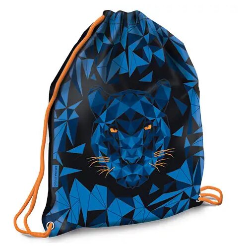 Ars Una Black Panther Telovadna, &scaron;portna vreča Cene