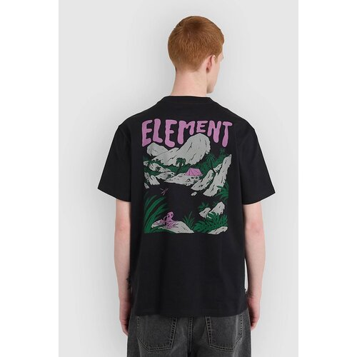 Element Lakeside T-shirt off black Slike