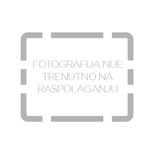 Trussardi Uomo Levriero Collection Limited Edition 100 ml parfumska voda za moške Cene