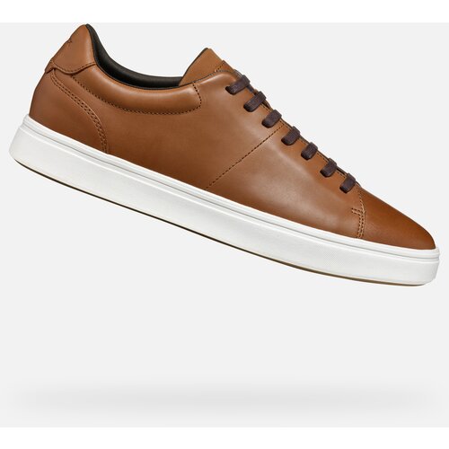 Geox Brown men&amp;#039;s sneakers Baltmoore - Men&amp;#039;s Slike