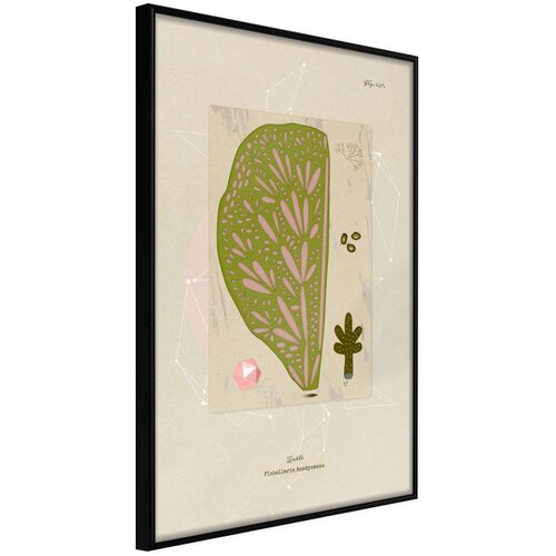  Poster - Cross Section of a Leaf 20x30 Slike