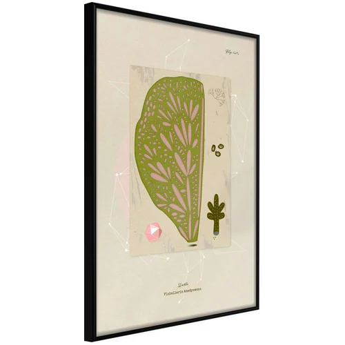  Poster - Cross Section of a Leaf 20x30