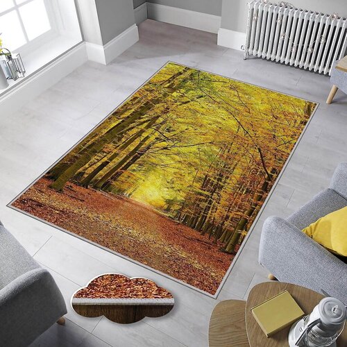 Conceptum Hypnose tepih, 80x300cm, šareni Cene