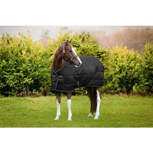 Horseware Ireland Pregrinjalo Amigo Diamond Insulator 100g, Black/Black & Silver - 140 cm Cene