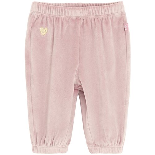 Cool club hlače trenirka DH CCG3102039 Ž ljubičasta 68 Cijene