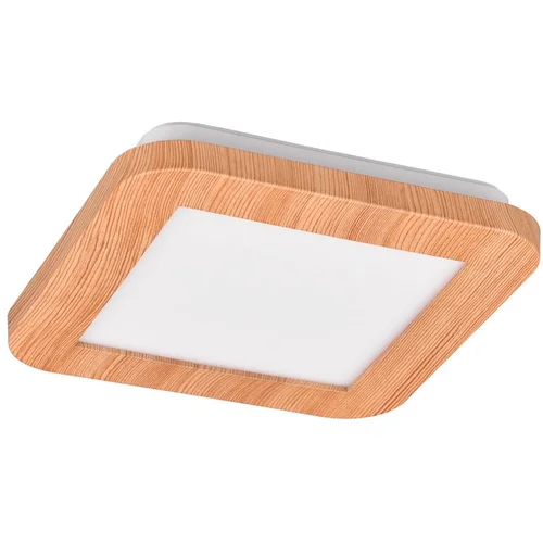 Tri O Narančasta LED stropna svjetiljka 17x17 cm Camillus –