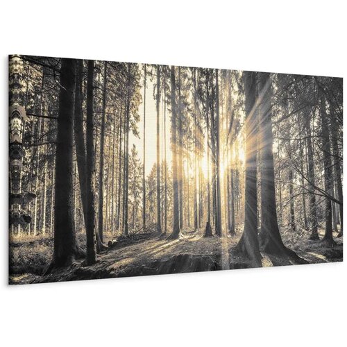  Slika - Forest Sun 120x40 Na talijanskom platnu Cijene