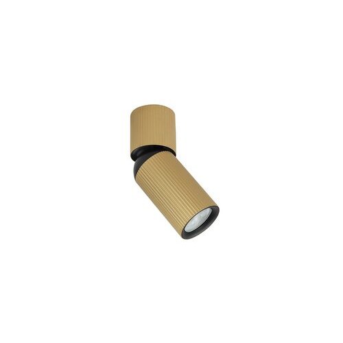 Forma plafonska lampa AFS117-1C sg Slike