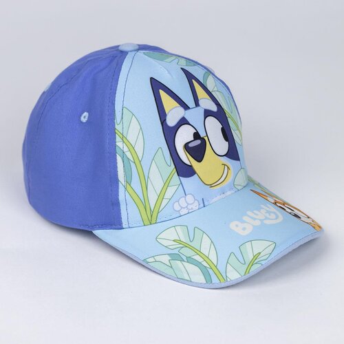 Ombre CAP BLUEY Slike