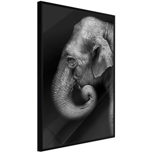  Poster - Wisdom 20x30 Cijene