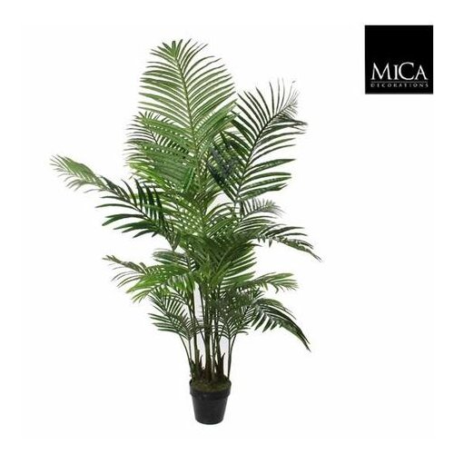  STRELICIJA U SAKSIJI 60*h.110CM PVC MICA Slike