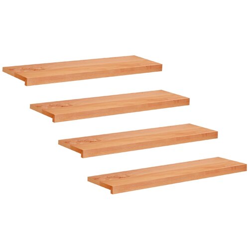 Step treads 4 kom. 100 x 25 x 2 cm Lak Čvrsto drvo bukve Cijene