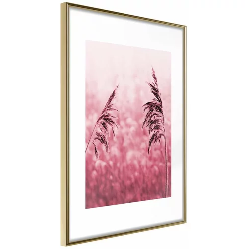  Poster - Amaranth Meadow 40x60
