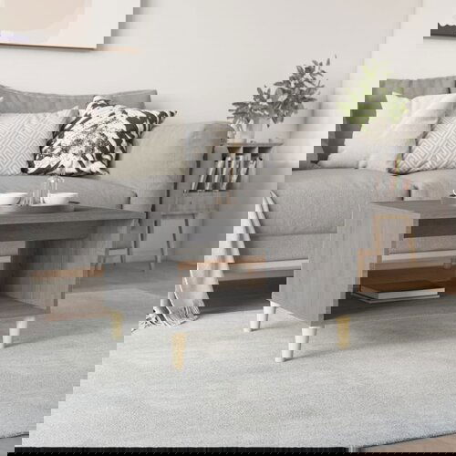 Furnova Klubska mizica siva sonoma 60x50x40 cm konstruiran les, (21914849) Slike