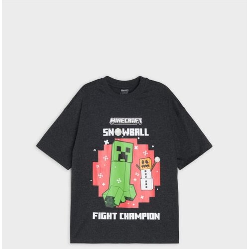 Sinsay Pamučna oversize majica s printom Minecraft Cijene