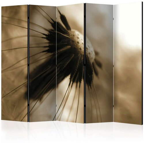  Paravan u 5 dijelova - dandelion - sepia II [Room Dividers] 225x172 Slike