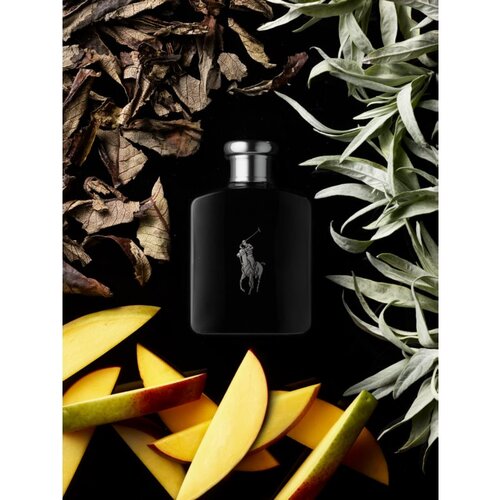 Polo Ralph Lauren Polo Black toaletna voda 125 ml za mo&amp;scaron;ke Slike