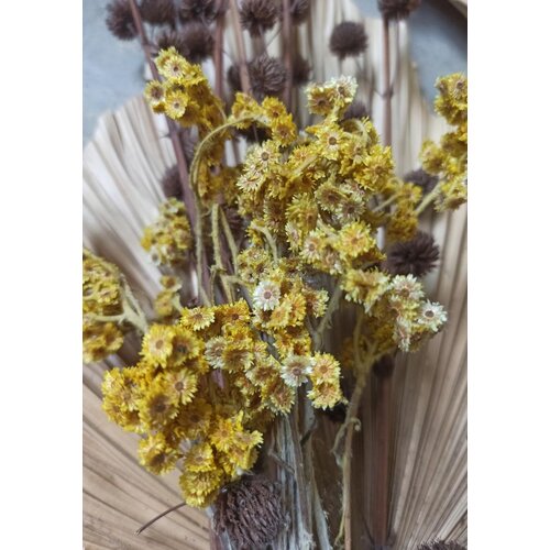 Venture Home poster Bouquet 70 &amp;times; 100 cm, žuti Slike