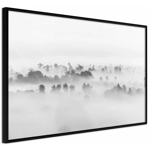  Poster - Fog Over the Forest 45x30