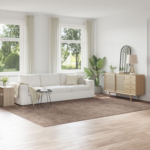VidaXL Preproga Rjava Polipropilen 240 x 340 cm Vzdržljiva Slike