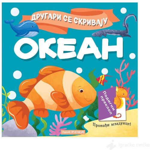 Publik Praktikum Drugari se skrivaju - Okean Cene