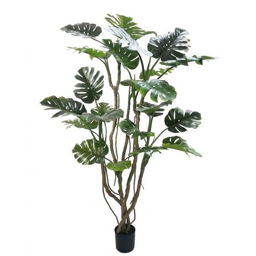  CVIJEĆE MONSTERA 210CM U SAKSIJI 0173039 Cijene