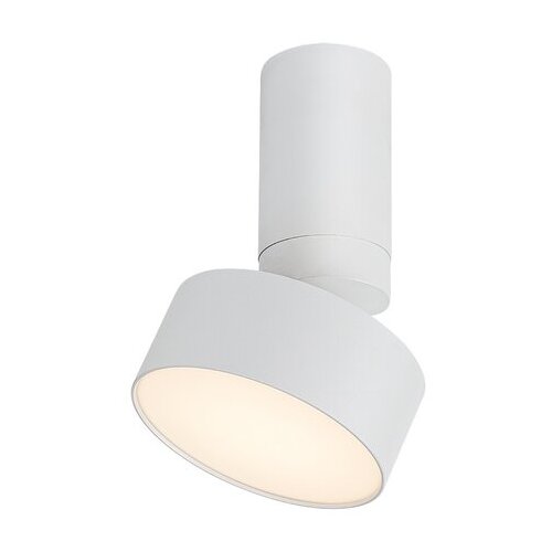 Rabalux spot lampa Ovidia, Nadgradna, Podesiva, LED, 10W, 3000K, Bela Slike