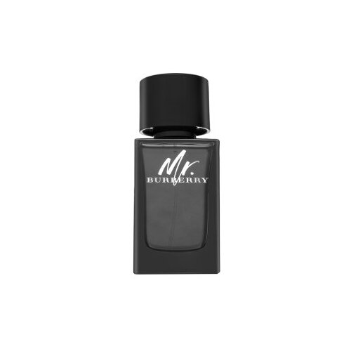 Burberry Mr. parfumirana voda za moške 100 ml Cene