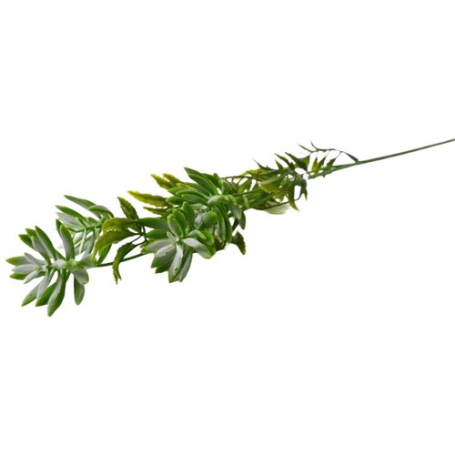  Rezano cvijeće grana zelenila 60 cm Cijene