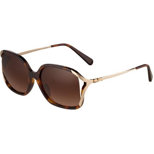 Coach L1116 Naočare za sunce HC 8280U 512013 Slike