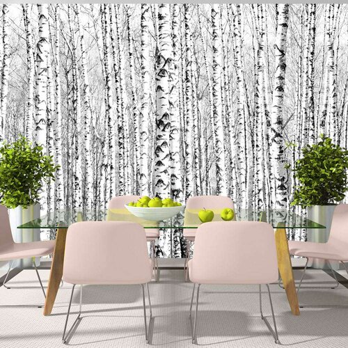  Tapeta - Birch forest 150x105 Slike