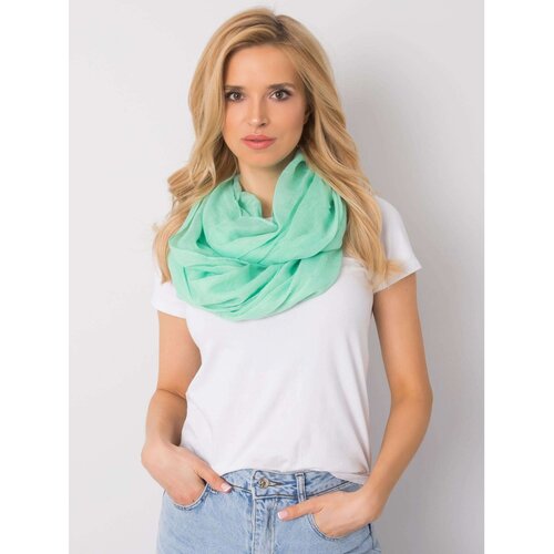 Fashion Hunters Green chimney with a shiny application Slike