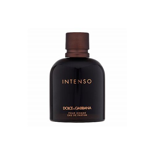 Dolce & Gabbana Pour Homme Intenso parfumirana voda za moške 125 ml Cene