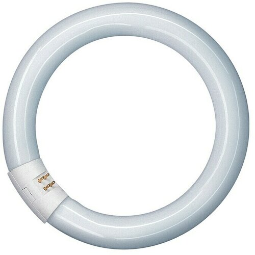 Osram Fluorescentna žarulja (T9, Hladna bijela, 40 W, Duljina: 40 cm) Slike