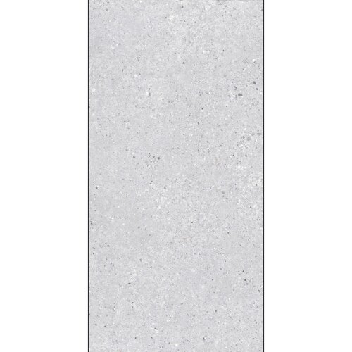 arena terazzo grigio 60X120 rect 1.44 Slike