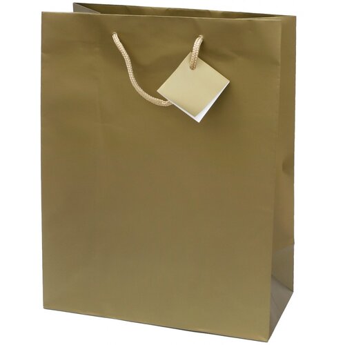  Vrečka darilna plast. mat a5 22,9x9,8x17,8 PROMOCIJA - ZLATA Cene