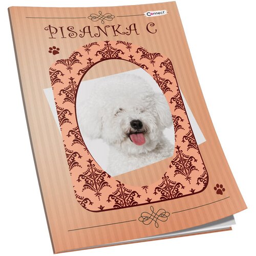  OBRAZAC &amp;Scaron;KOLSKI PISANKA &amp;quot;C&amp;quot; ZA 2 I 3RAZRED SOFT PLUS CONNECT GIRL Slike