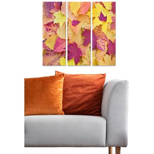 Wallity Set slika MDF1789665, 3 dijela Cijene