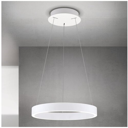 Orion led prigu&amp;scaron;iva luster na sajli kolk LED/40W/230V 2700/3000/4000K prečnik 40 cm bela Slike