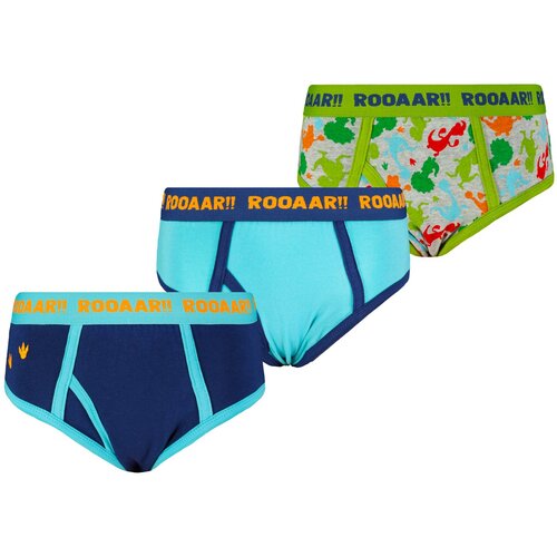 Licensed Boy's briefs Gigantosaurus 3P - Frogies Cene
